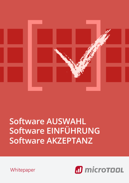 Whitepaper Auswahl und Einführung von Software