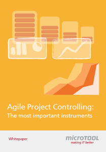 Download Whitepaper: Agile Project Controlling - the most important Instruments