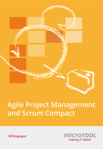 Download Whitepaper: Agile Project Management and Scrum compact