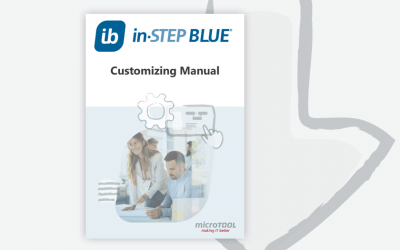 in-STEP BLUE – Customizing Manual
