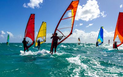 Let AI Be Your Tailwind to Greater Success