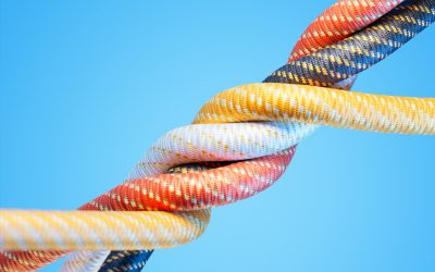 Software Implementation: Balancing Flexibility and Security