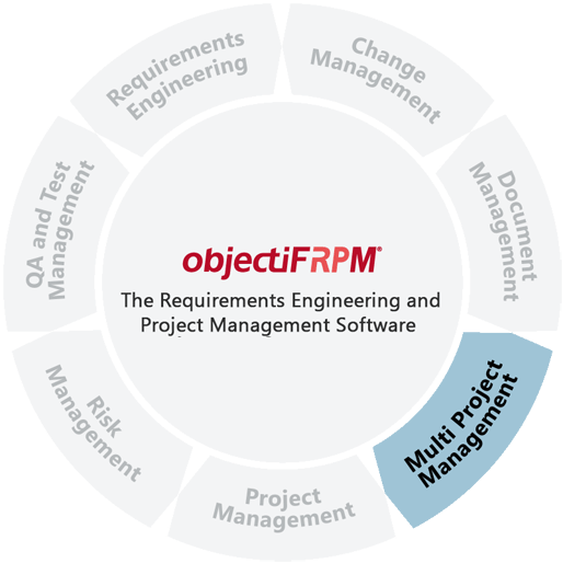 Software for Multi Project Management